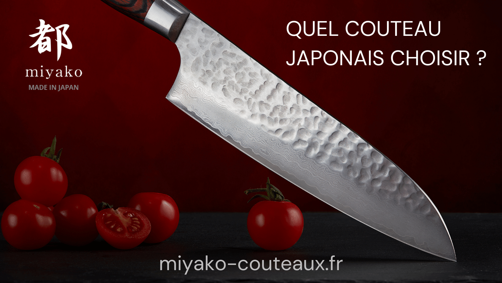 Quel couteau japonais choisir ? - Miyako Couteaux Japonais